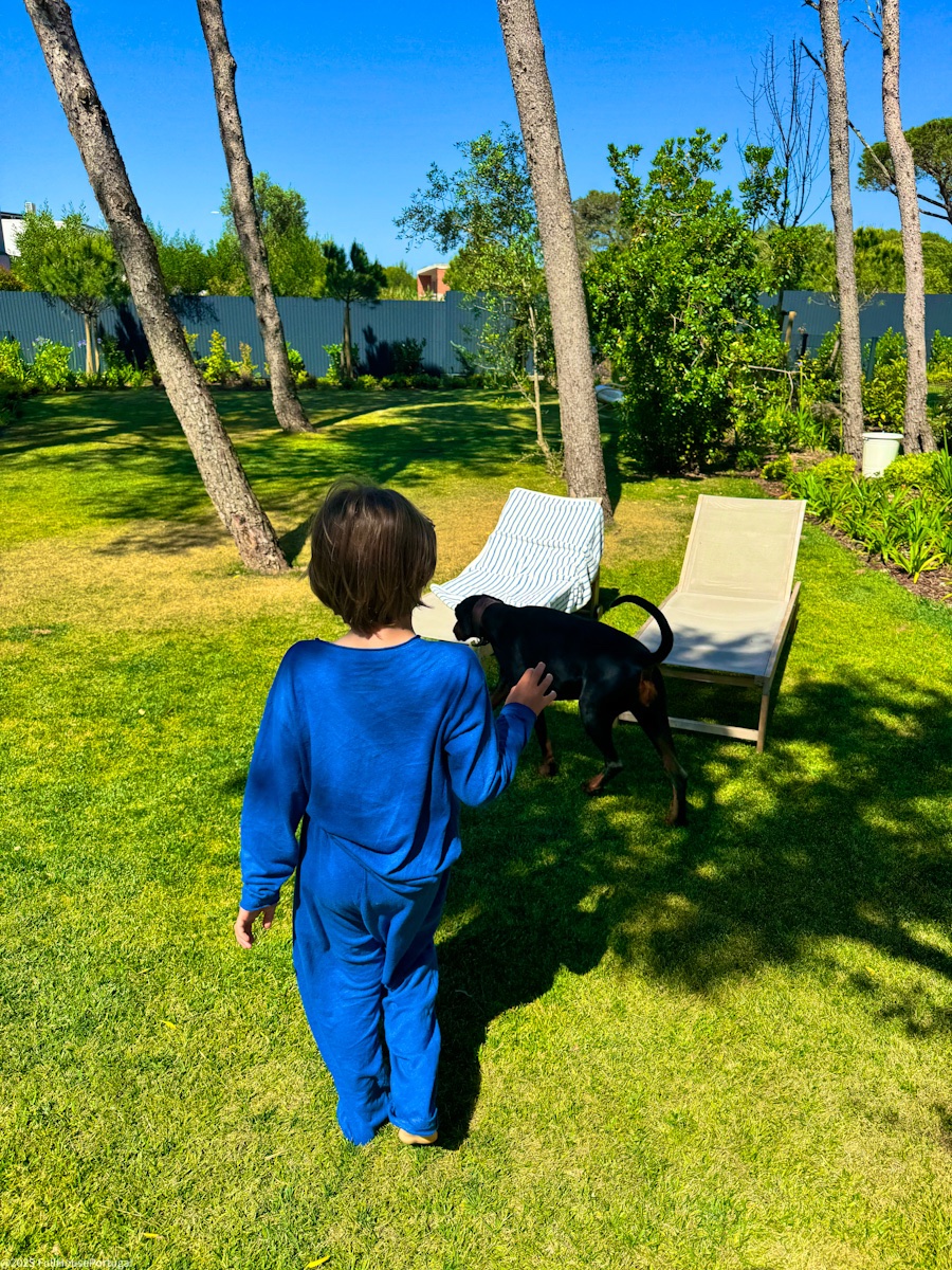 A young boy in a blue jumpsuit playing with a black puppy in a sunny garden surrounded by pine trees